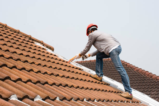 Best Asphalt Shingle Roofing  in Sabina, OH